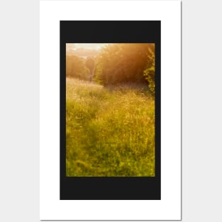 Golden meadow afternoon Posters and Art